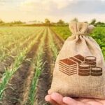 Agri-Startup Funding Rises as KisaanSay Secures $4 Million to Strengthen Farm-to-Consumer Model