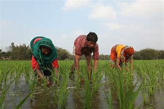 Hormuz Crisis Threatens Global Food Supply, Raises Fears&hellip;