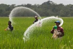 Fertilizer Shortage Threatens Australian Farming, Raises Yield Concerns