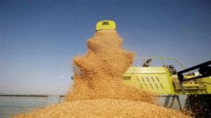 Morocco Introduces Strengthened Cadmium Guidelines to Boost Agricultural&hellip;