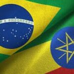 Brazil Expands Agricultural Exports to Africa, Strengthens Trade Ties with Ethiopia