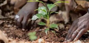 Global Partnerships Drive Nestlé’s Push to Scale Regenerative&hellip;