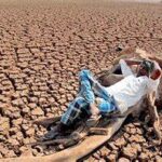 Extreme Heat Pushing Global Food Systems to the Brink