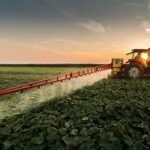 India Set to Roll Out New Seed and Pesticide Laws to Boost Farm Quality and Safety