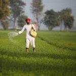 Farmers in South Asia Alerted to Potential Food Crisis as Fertiliser Shock Intensifies