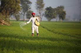 Farmers in South Asia Alerted to Potential Food Crisis as Fertiliser Shock Intensifies