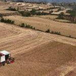 Severe Drought Hits U.S. Agriculture, Driving Up Beef Prices