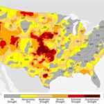 Severe Winter Drought in the U.S. Raises Alarm Over Global Food Supply