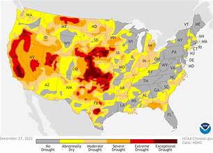 Severe Winter Drought in the U.S. Raises Alarm Over Global Food Supply