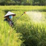 Australia Eases Fertiliser Export Costs to Support Farmers Amid Global Price Pressures