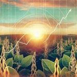 Global Fertilizer Prices Surge Amid Geopolitical Tensions