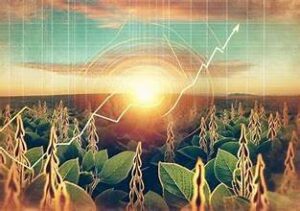 Global Fertilizer Prices Surge Amid Geopolitical Tensions