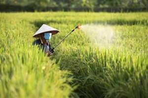 Australia Eases Fertiliser Export Costs to Support Farmers&hellip;