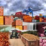 India Poised to Strengthen Global Food Supply with Higher Agricultural Output in 2026