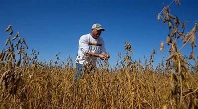 US Soybean Farmers Struggle Amid Trade Pressures and&hellip;