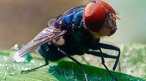 $750 Million Facility in Texas to Combat Deadly&hellip;