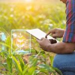 USDA Expands Farm Surveys to Improve Data Accuracy and Market Transparency