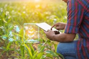 USDA Expands Farm Surveys to Improve Data Accuracy&hellip;