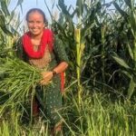 Climate-Resilient Farming Gains Urgency as Agriculture Faces Rising Risks