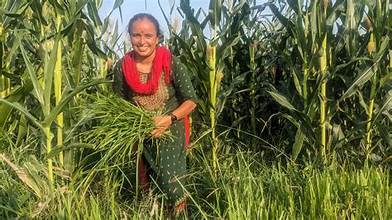 Climate-Resilient Farming Gains Urgency as Agriculture Faces Rising&hellip;