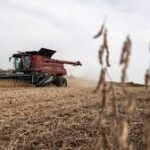 U.S. Farmers Shift Crop Choices Amid Rising Fertilizer Costs