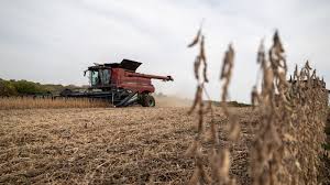 U.S. Farmers Shift Crop Choices Amid Rising Fertilizer Costs