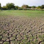 Severe Drought Batters US Agriculture, Raising Food Price Concerns