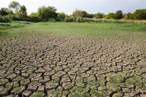 Severe Drought Batters US Agriculture, Raising Food Price&hellip;