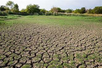 Severe Drought Batters US Agriculture, Raising Food Price&hellip;