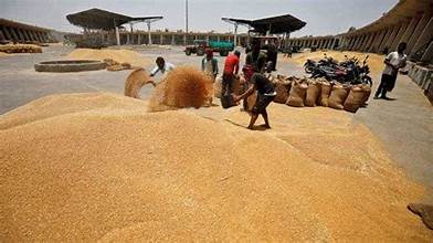 India Expands Wheat Exports, Strengthening Global Market Position