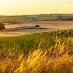 Paine Schwartz Partners Completes Sale of AgBiTech to BASF, Marking a Significant Shift in the Global Biologicals Market