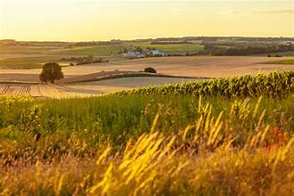 Paine Schwartz Partners Completes Sale of AgBiTech to BASF, Marking a Significant Shift in the Global Biologicals Market