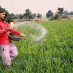 Fertilizer Crisis Sparks Food Security Fears Across South Asia