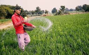 Fertilizer Crisis Sparks Food Security Fears Across South Asia