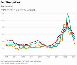 Global Fertilizer Prices Surge, Raising Alarm Over Rising…