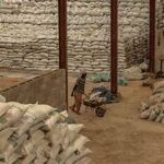 Global Food Crisis Fears Rise as Fertiliser Blockade Disrupts Supply Chains