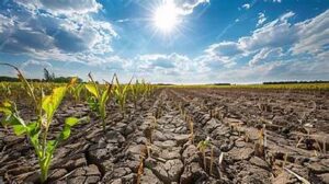Severe Drought and Heatwave Strain U.S. Agriculture, Raising&hellip;