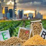 Global Commodity Markets Show Mixed Trends as Soybean Prices Stabilize