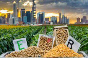 Global Commodity Markets Show Mixed Trends as Soybean&hellip;