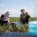 Scientific Review Reignites Debate Over Regenerative Agriculture’s True Effectiveness