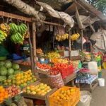 Precision Farming Trends for 2026 Highlight Global Shift Toward Sustainable, High-Efficiency Agriculture