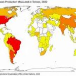 Global Soybean Production Climbs Past 427 Million Tons on Strong South American Output