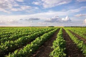 India Urged to Reform Agriculture Policies Amid Rising&hellip;