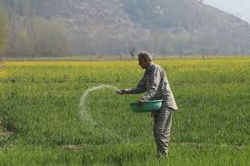 Fertilizer Shortages in South Asia Spark Food Security&hellip;