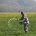 UN Warns of Looming Global Agrifood Crisis Amid Supply Disruptions