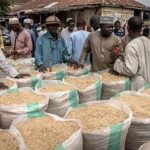 Fertilizer Supply Disruptions Raise Global Food Security Concerns