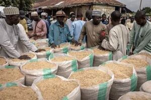 Fertilizer Supply Disruptions Raise Global Food Security Concerns