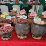 Community Seed Fairs Highlighted as Key Tool for Strengthening Local Food Security and Resilience