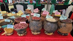 Community Seed Fairs Highlighted as Key Tool for Strengthening Local Food Security and Resilience