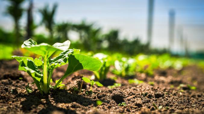 Syngenta Launches VIRESTINAâ„¢ Herbicide to Combat Resistant Weeds…